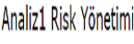 Analiz1 Risk Yönetimi Sigorta Aracılık