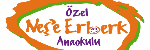 Bahçeşehir Özel Neşe Erberk Anaokulu