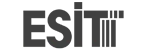 Esit Elektronik