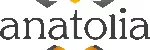 Anatolia Grup Organizasyon