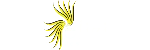 ELİZİ KUYUMCULUK SANAYİ VE TİCARET