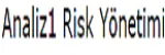 Analiz1 Risk Yönetimi Sigorta Aracılık