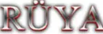 rüya teknoloji danışmanlık ltd sti