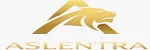 Aslentra İnsan Kaynakları