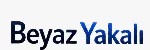 BEYAZ YAKALI TEKNOLOJİ HİZMETLERİ LTD ŞTİ